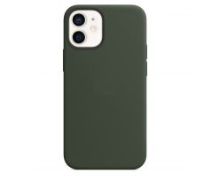 iPhone 12/12 Pro Silicone Case s MagSafe - Cyprus Green design (zelený)