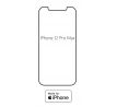 Hydrogel - matná ochranná fólia - iPhone 12 Pro Max - typ výrezu 2