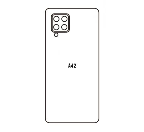 Hydrogel - zadná ochranná fólia - Samsung Galaxy A42 5G