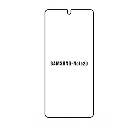 Hydrogel - matná ochranná fólia - Samsung Galaxy Note 20, typ výrezu 2