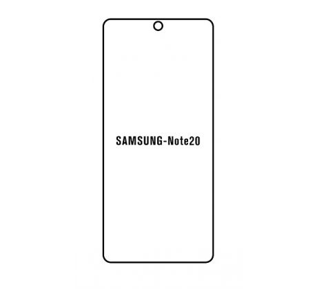 Hydrogel - matná ochranná fólia - Samsung Galaxy Note 20, typ výrezu 3