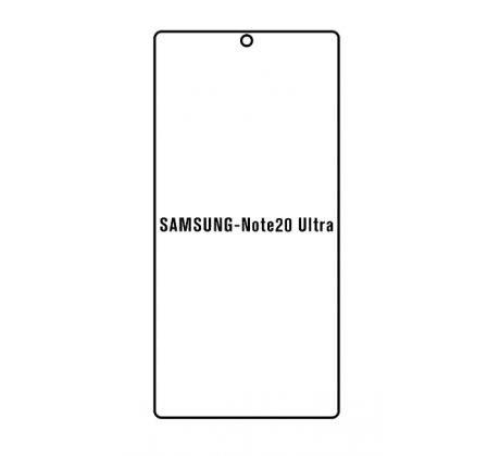 Hydrogel - matná ochranná fólia - Samsung Galaxy Note 20 Ultra, typ výrezu 3