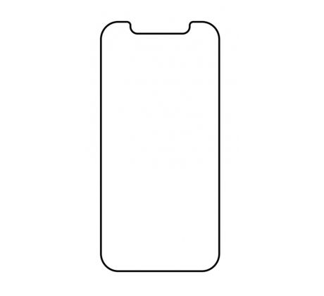 Hydrogel - matná ochranná fólia - iPhone 12 Pro - typ výrezu 2