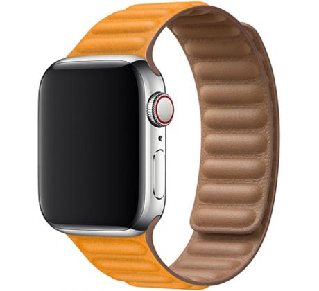 Koženkový remienok Leather Link pre Apple Watch (42/44/45mm) California