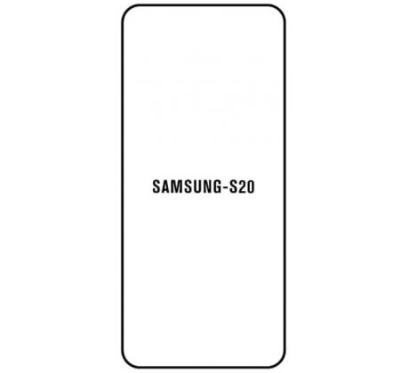 Hydrogel - ochranná fólia - Samsung Galaxy S20 - typ výrezu 2