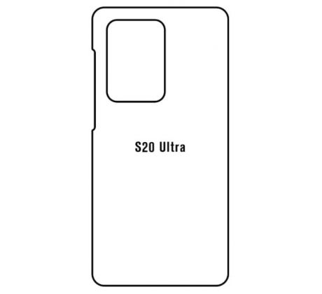 Hydrogel - zadná ochranná fólia - Samsung Galaxy S20 Ultra - typ výrezu 2