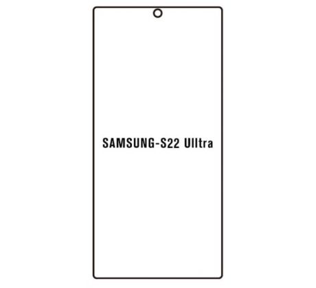 Hydrogel - ochranná fólia - Samsung Galaxy S22 Ultra - typ výrezu 2