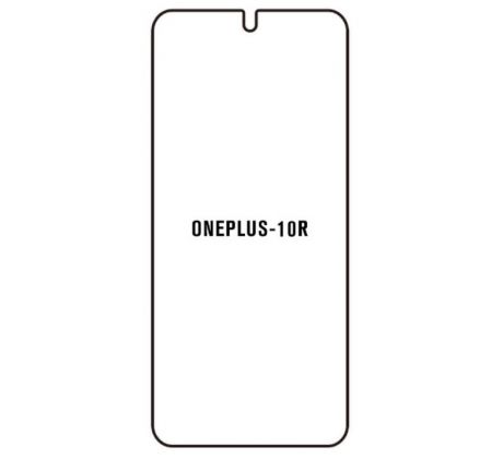 Hydrogel - ochranná fólia - OnePlus 10R - typ výrezu 2