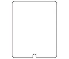 Hydrogel - ochranná fólia - Apple iPad 1 gen.