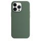 iPhone 13 Pro Silicone Case s MagSafe - Eucalyptus design (zelený)
