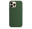 iPhone 13 Pro Max Silicone Case s MagSafe - Clover design (zelený)
