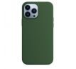 iPhone 13 Pro Max Silicone Case s MagSafe - Clover design (zelený)