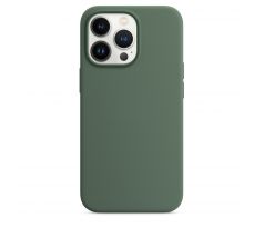 iPhone 13 Pro Max Silicone Case s MagSafe - Eucalyptus