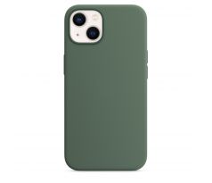 iPhone 13 mini Silicone Case s MagSafe - Eucalyptus design (zelený)