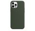 iPhone 12 Pro Max Silicone Case s MagSafe - Cyprus Green design (zelený)
